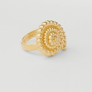 Ann Taylor Shell Ring